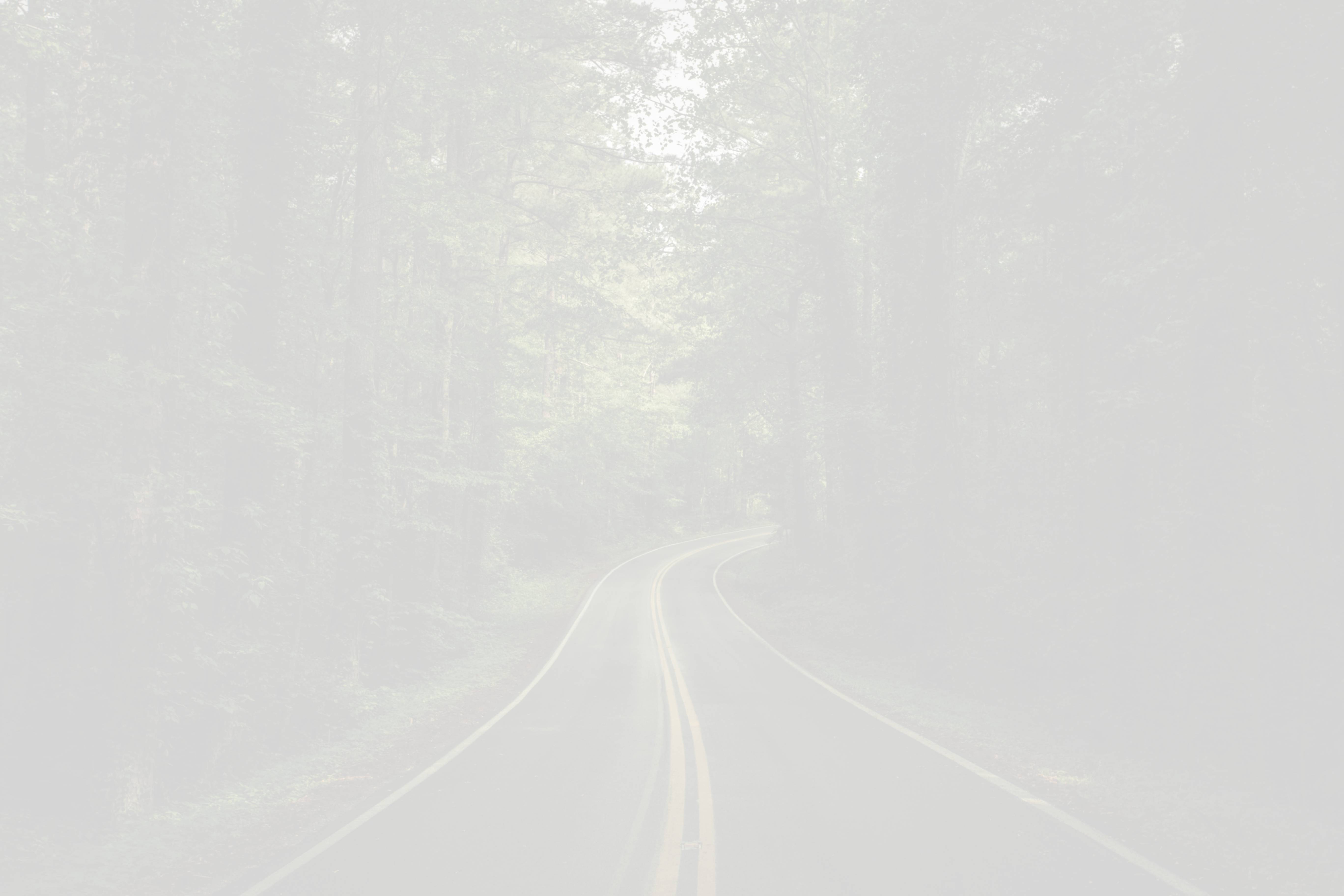 a highway through the woods